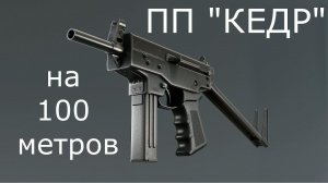 ПП «Кедр»  выстрел на 100 метров