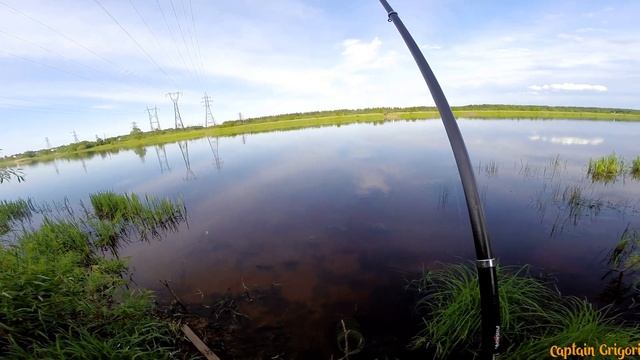Уклейка и Щука, рыбалка на реке Волхов/ fishing on the river Volkhov смотреть онлайн