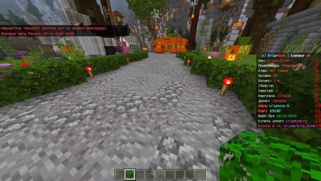 Сервер с Бесплатным Донатом майнкрафт пе 1.16.50 (minecraft pe 1.16.50) смотреть онлайн