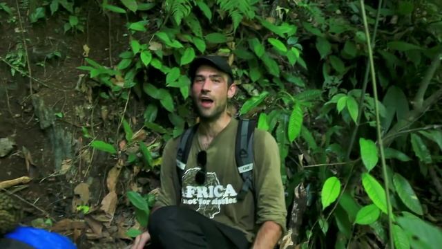 Arco del Tiempo en Chiapas - Expedición México Desconocido смотреть онлайн