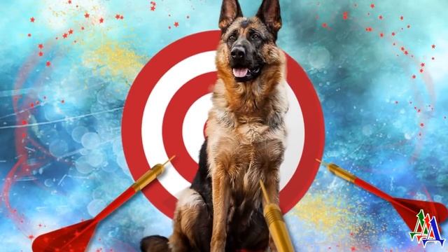 ДИНА 26-27 «Собаке скоро рожать! Как вы могли это допустить?!» смотреть онлайн