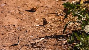 Документальный фильм "Пётр Рычков.  Пещера для Колумба"