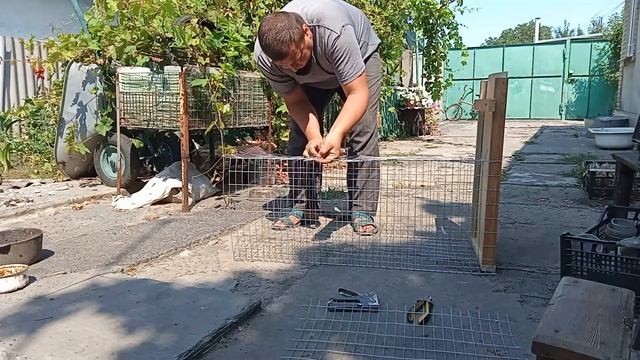 ЛОВУШКА НА ФАЗАНА .КАК ПОЙМАТЬ ФАЗАНА. смотреть онлайн