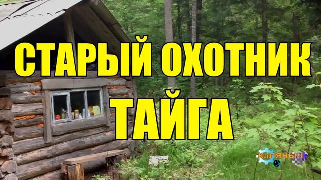 СТАРЫЙ ОХОТНИК ПРОДАЛ СВОЕ ДОБРО | ТАЙГА смотреть онлайн