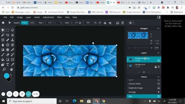 PIXLR Editor: Mirrored Symmetry смотреть онлайн