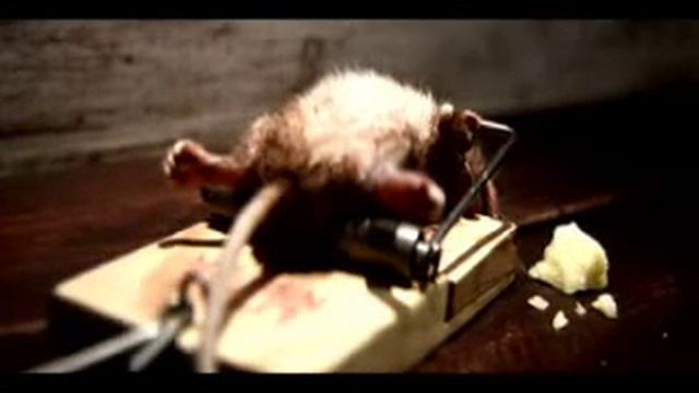 Only_the_strong.wmv смотреть онлайн
