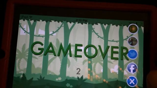 The Flying Turtle Game смотреть онлайн