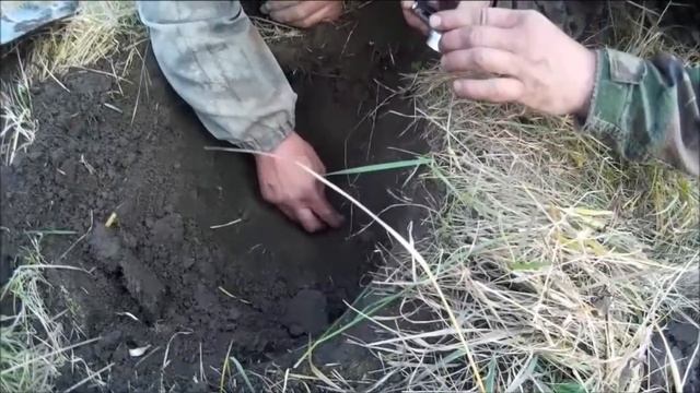 Семь монет 13 века в одной лунке. Удача =) смотреть онлайн