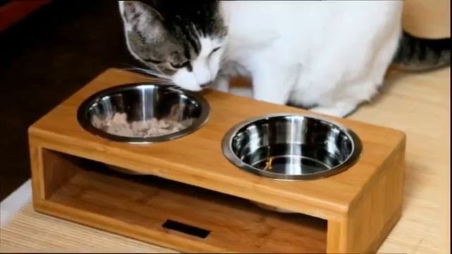 Мебельное производство: Мебель для животных смотреть онлайн