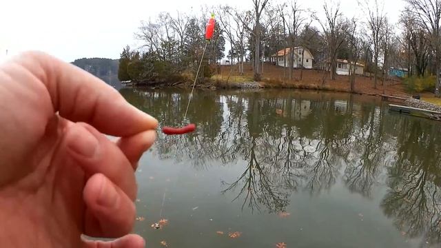 Realistic Fishing with Earthworms (Artificial) - Gulp Worms Catch Fish смотреть онлайн