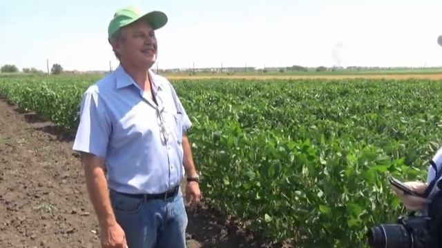 Учёный развенчивает мифы о сое смотреть онлайн