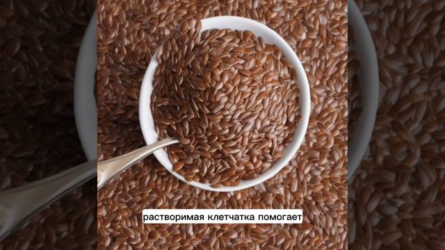 Семя льна чем полезно. Как заваривать семена льна смотреть онлайн