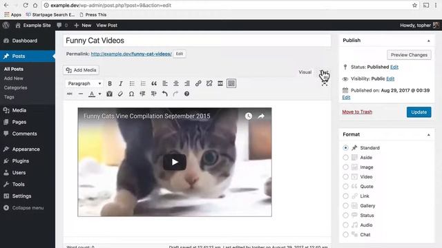 How to Add a YouTube Video to a WordPress Blog Post or Page смотреть онлайн