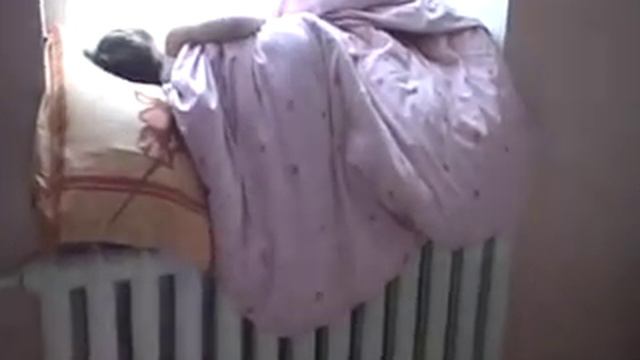 Поехали купаться на Крещение смотреть онлайн