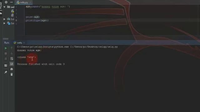 Python #5 | int(input()) function in python смотреть онлайн