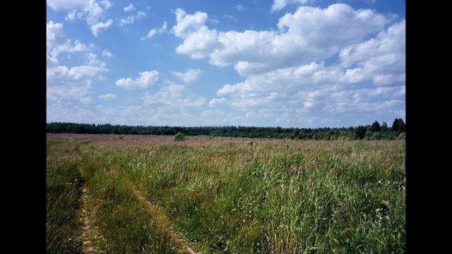 Участок 4.15 Га в Рузском р-не, д. Бараново, 8... смотреть онлайн