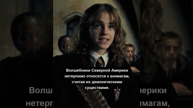 А ВЫ ЗНАЛИ Как Называют Анимагов В Северной Америке? смотреть онлайн