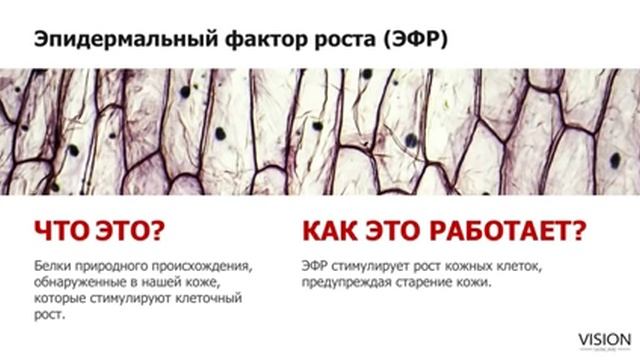 Доктор Элмантас Поцевичус рассказывает о SKINCARE новой линии косметики от Vision 1 смотреть онлайн