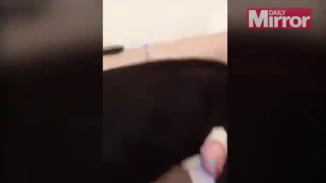 Свинья в кровати! смотреть онлайн