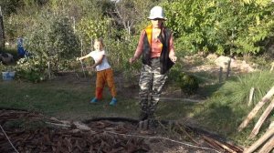 Голубика. Пересадка взрослого куста