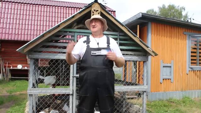 ЗООТЕХНИЧЕСКИЙ 100 % МЕТОД СНЯТЬ НАСЕДКУ С ГНЕЗДА! смотреть онлайн