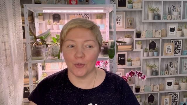 373. Салат из свиного сердца/Мои тарелочки/ Сколько пить воды смотреть онлайн