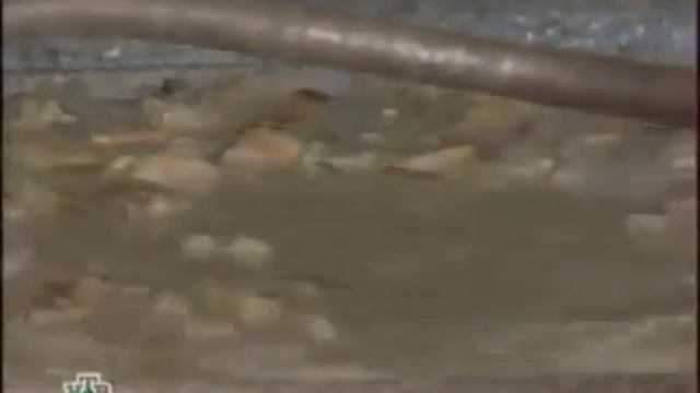 Тюремные наколки   Значение тюремных татуировок