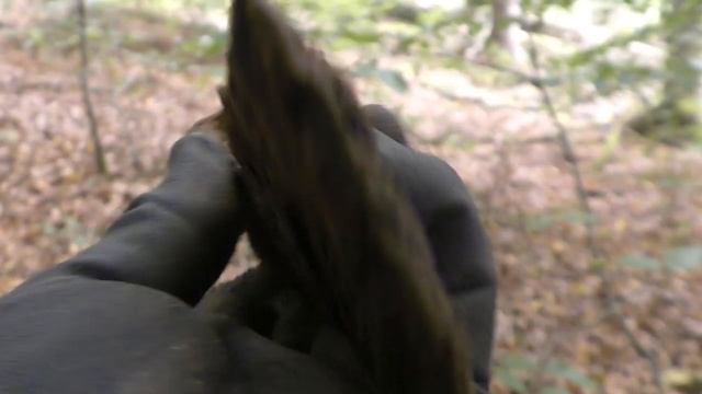 Что зa хрень, "ЛЕСОРУБЫ" преследуют меня повсюду! Золото. смотреть онлайн