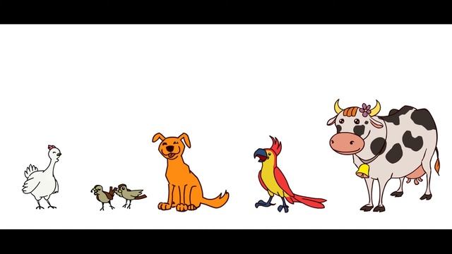 Портфолио преподавателя курса 2D анимация для детей смотреть онлайн