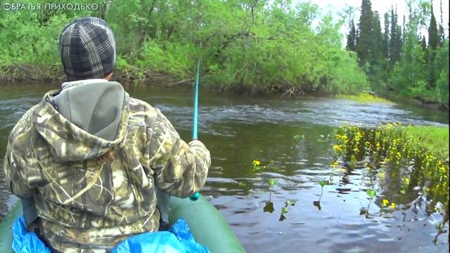 ОДНОДНЕВНЫЙ СПЛАВ ПО ТАЕЖНЫМ РЕКАМ / ПОЙМАЛИ БОЛЬШУЮ ЩУКУ КОТОРАЯ ПРОКАТИЛА НАС НА ЛОДКЕ смотреть онлайн