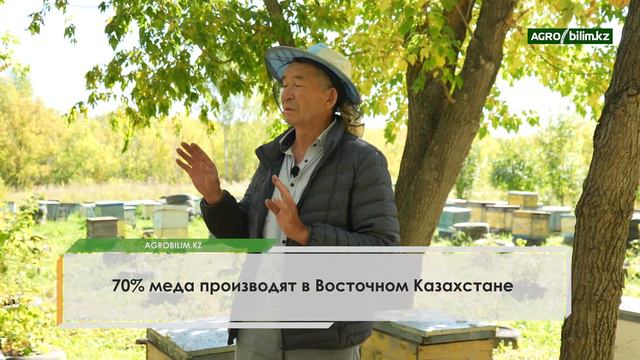 Технологический процесс производства меда с учётом природно-климатических зон РК смотреть онлайн