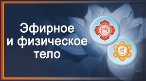 Тонкие тела.  Эфирное и физическое тело