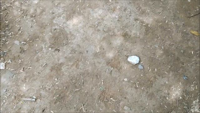 Поиск монет без металлоискателя 55 смотреть онлайн