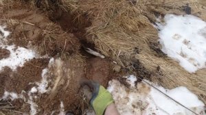 Весенний коп металлолома. Метало коп.  Серия 115