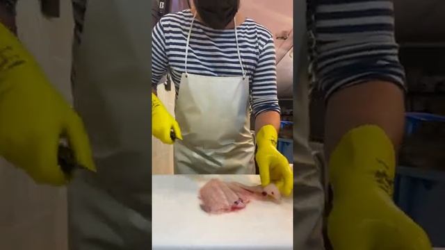 Морской Язык