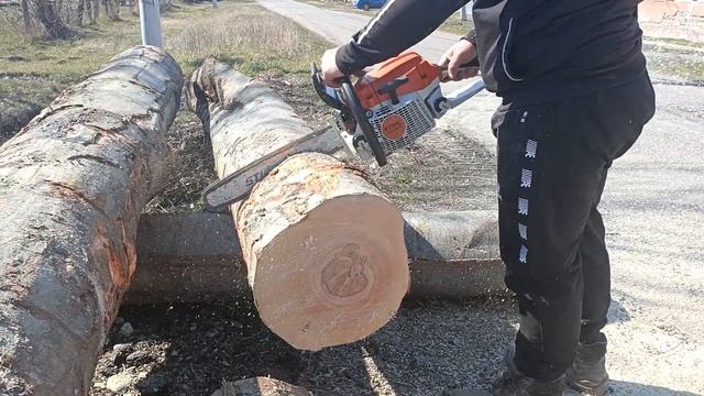 Simple and easy with a light chainsaw -Stihl ms261 CM (MUFFLER MOD, 50CC) смотреть онлайн