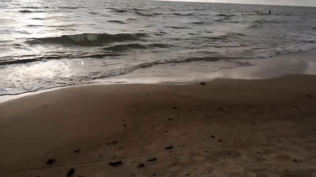 Курорт Паланга на побережье Балтийского моря (Литва) смотреть онлайн