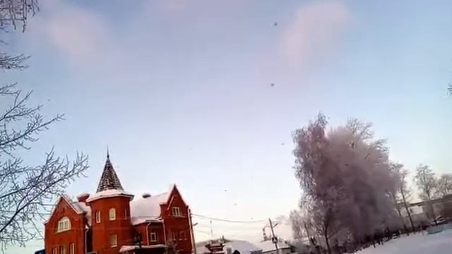 Свиристели прилетели смотреть онлайн