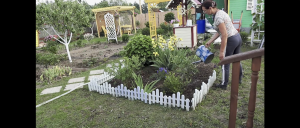 6 соток 11 июня 2024 года. Хроника.