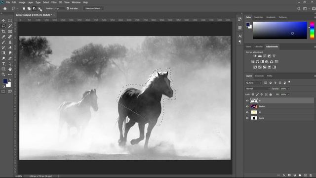 Lasso Tool in Adobe Photoshop cc 2020 Tutorial - Photoshop For Beginners - Class 09 in اردو / हिंद смотреть онлайн