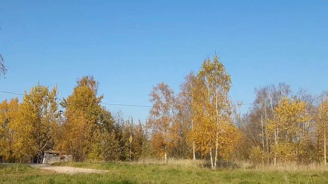 Расплескались золотые листья #potemkin3 Потемкин смотреть онлайн