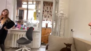 ВЛОГ Кира прогуляла урок ? У меня нет сил