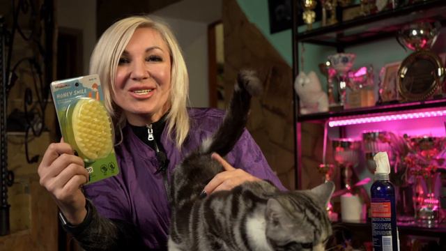 83879 Ультра силиконовая щётка для удаления короткой шерсти смотреть онлайн