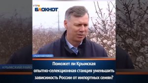 Поможет ли Крымская опытно-селекционная станция уменьшить зависимость России от импортных семян?