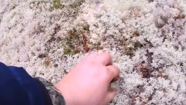 МОРЕ ОТБОРНЫХ БОРОВИКОВ!!! смотреть онлайн