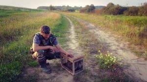 Куропатка в домашних условиях Куропаток выпустили на свободу Нашли птенца  Приготовление Разведение