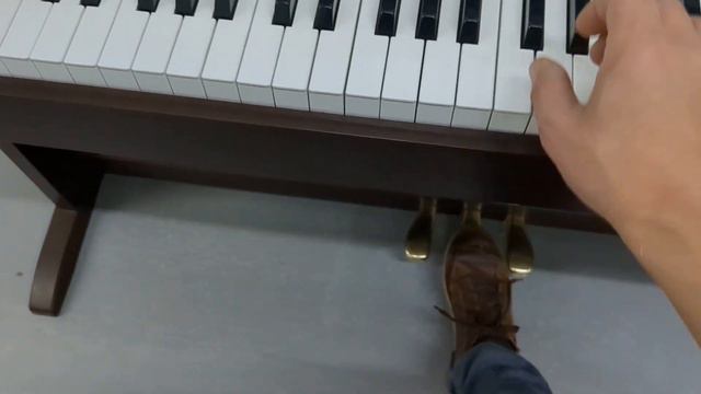 Casio Celviano AP-220 Digital Piano In Rosewood Finish Stock Number 23308