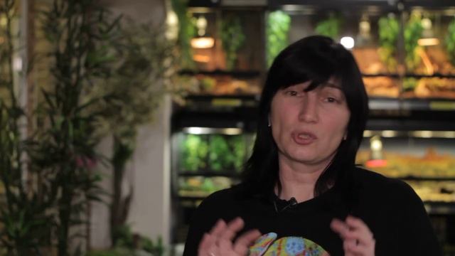 Все О Домашних Животных: Много Змей Хороших И Разных смотреть онлайн