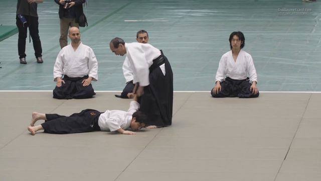 Aikido Hiroshi Tada - 56th All Japan Aikido Demonstration 2018 смотреть онлайн