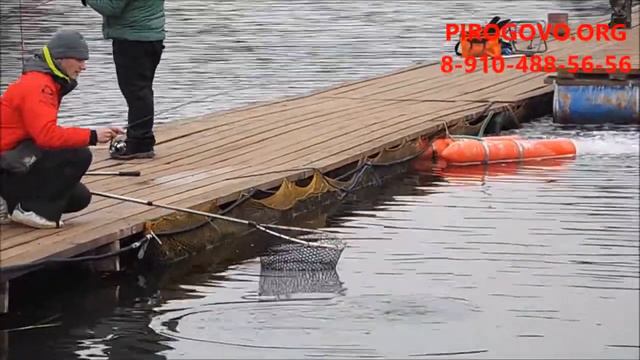 Платная рыбалка в Пирогово-Коргашино смотреть онлайн